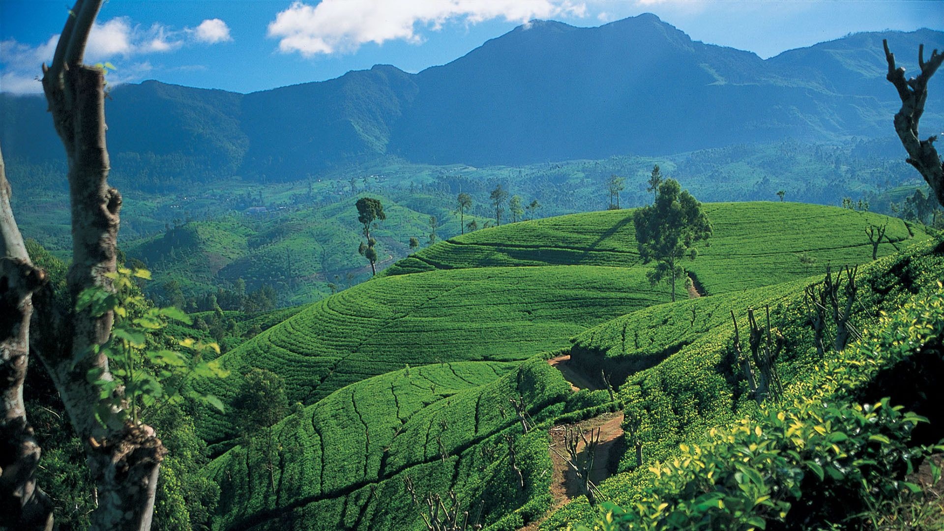 Sri Lanka